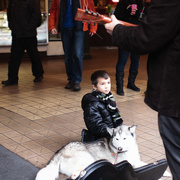 4th Dec 2014 - Enjoying His Music Through The Touch Of The Busker's  Dog!