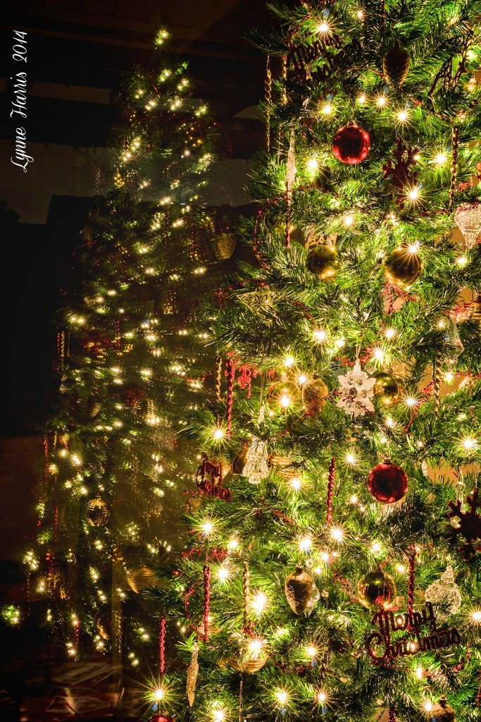 O' Christmas Tree by lynne5477