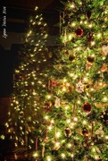 4th Dec 2014 - O' Christmas Tree