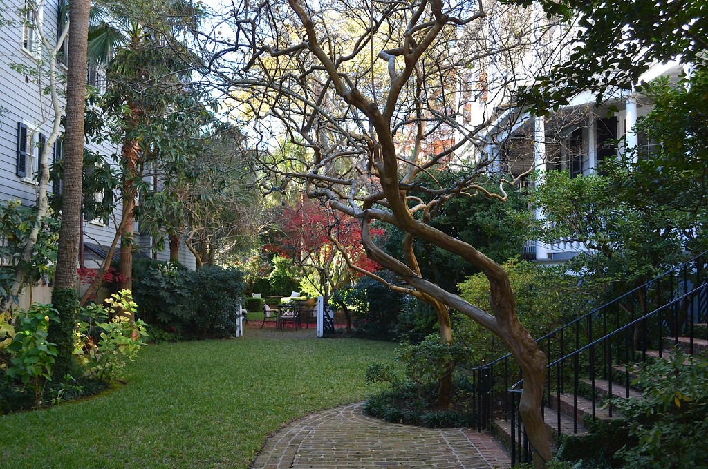 Garden, Historic district, Charleston, SC by congaree