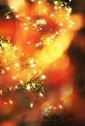 2nd Dec 2014 - Christmas Lights Bokeh