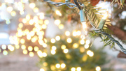 3rd Dec 2014 - Christmas Lights