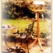 A new Bird table . by beryl