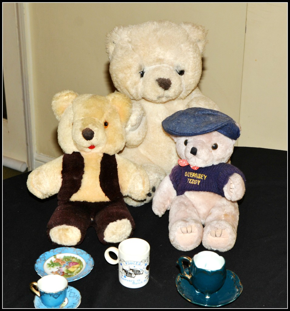A special Teddy Bears Picnic to welcome our cousin from Guernsey by rosiekind
