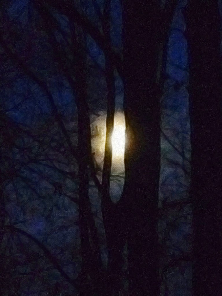 Kishux "long night moon" by studiouno