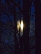 4th Dec 2014 - Kishux "long night moon"
