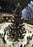 30th Nov 2014 - St Pancras Station Christmas Tree