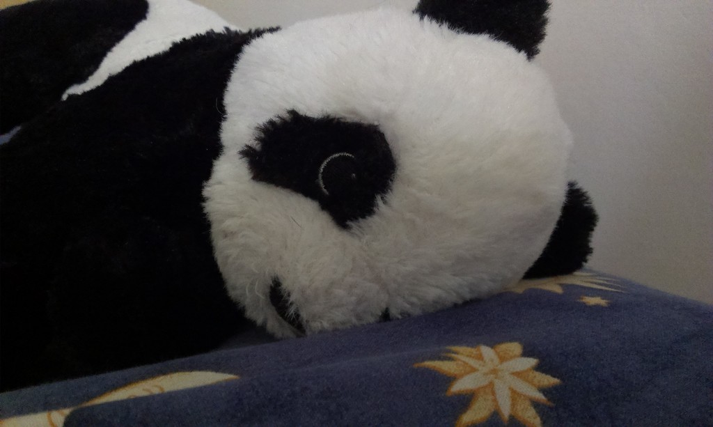 Panda's dream by pavlina