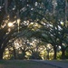 Avenue of Oaks, Charles Towne Landing State Historic Site, Charleston, SC by congaree