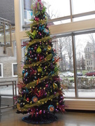 5th Dec 2014 - College Tree
