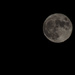 Full moon by nicoleterheide