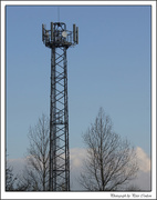 6th Dec 2014 - Mobile Phone Tower