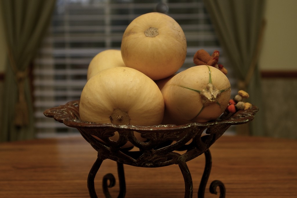 Winter squash by thewatersphotos