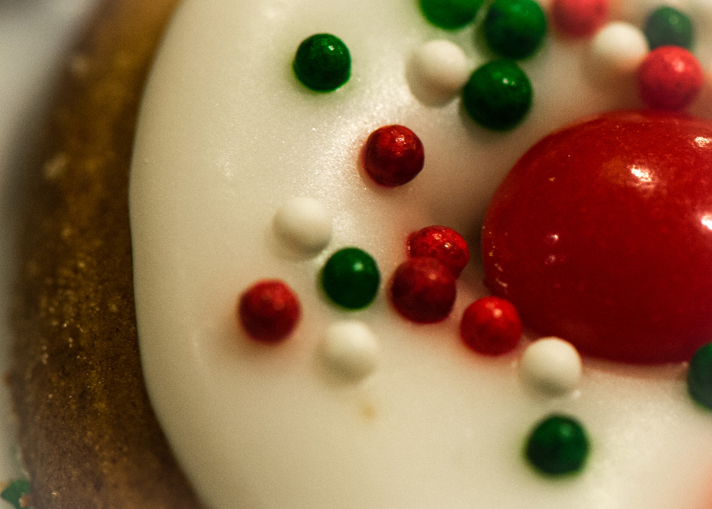 Christmas Cookie Closeup  by epcello