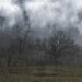 Stormy Weather by digitalrn