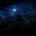 Moonlight Madness by digitalrn