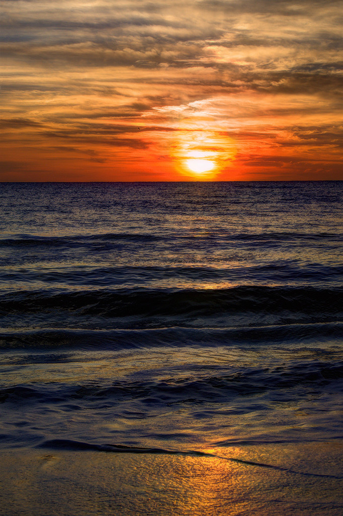 Beach Sunset by gardencat