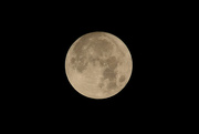 6th Dec 2014 - Full moon