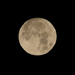 Full moon by richardcreese