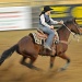 My first rodeo. by hmgphotos