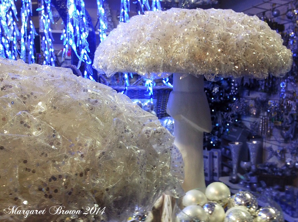 Magic mushrooms or toadstools? by craftymeg