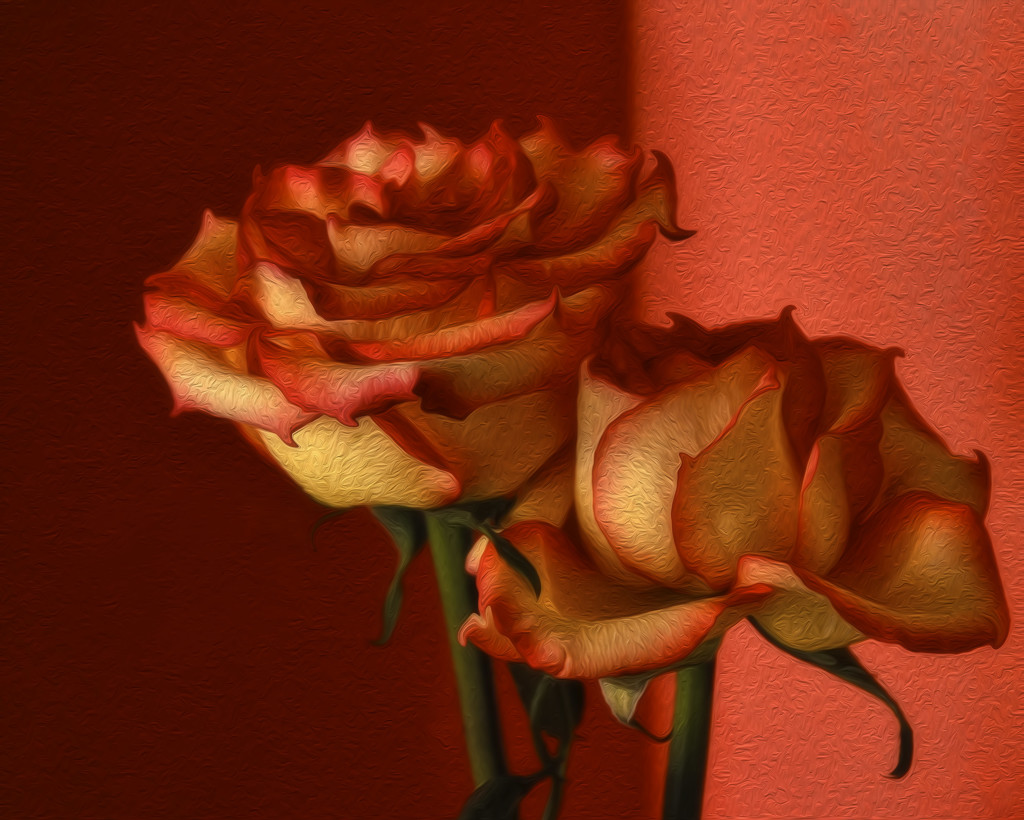 Roses From My Friend by joysfocus