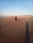 29th Nov 2014 - Chasing shadows on Gwithian beach.