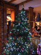 4th Nov 2011 - Oh Christmas Tree .....