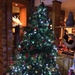 Oh Christmas Tree ..... by bizziebeeme