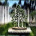 bonsai in vertical by blueberry1222
