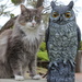 The Owl and the Pussy cat.... by gilbertwood