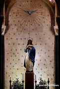 8th Dec 2014 - Solemnity of the Immaculate Conception