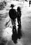 6th Dec 2014 - buddies in the rain