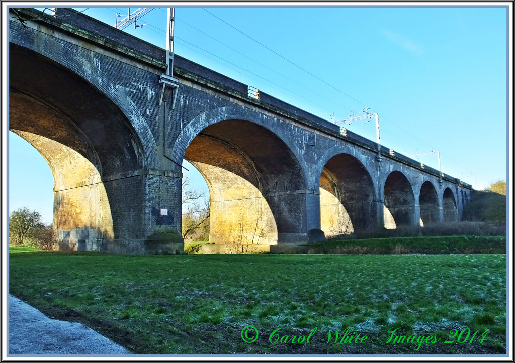 Haversham Viaduct by carolmw