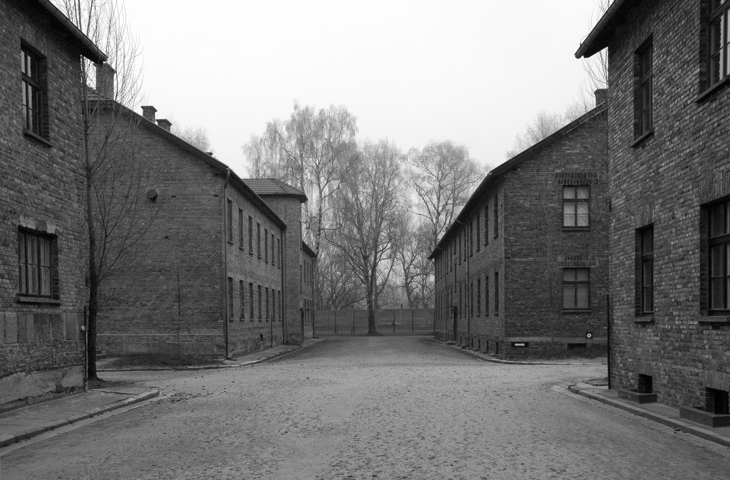 Auschwitz by sjc88