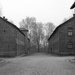 Auschwitz by sjc88