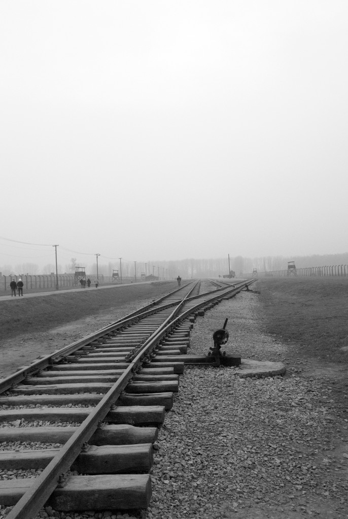 Auschwitz-Birkenau - end of the line  by sjc88