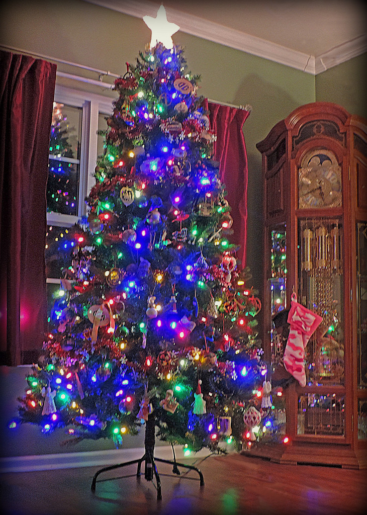 Our tree! by homeschoolmom