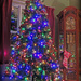 Our tree! by homeschoolmom