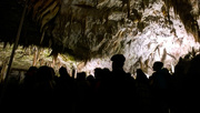 29th Nov 2014 - Postojna caves