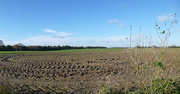 8th Dec 2014 - A Suffolk field