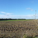 A Suffolk field by lellie