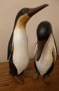 5th Dec 2014 - My penguins