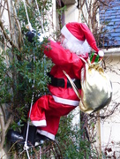 8th Dec 2014 - Santa's back