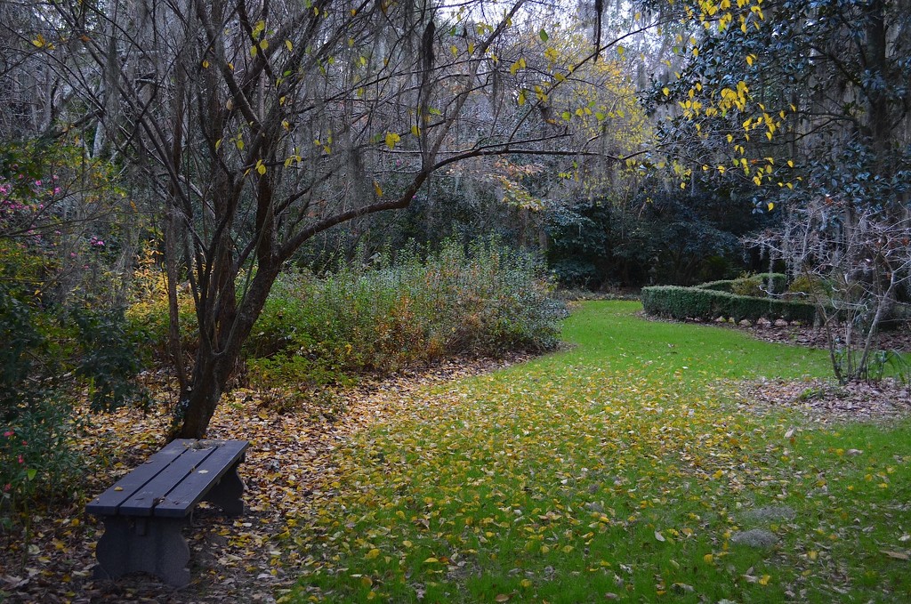 Quiet spot for meditation, Magnolia Gardens, Charleston, SC by congaree