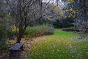 9th Dec 2014 - Quiet spot for meditation, Magnolia Gardens, Charleston, SC