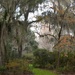 Late Autumn, Magnolia Gardens, Charleston, SC by congaree