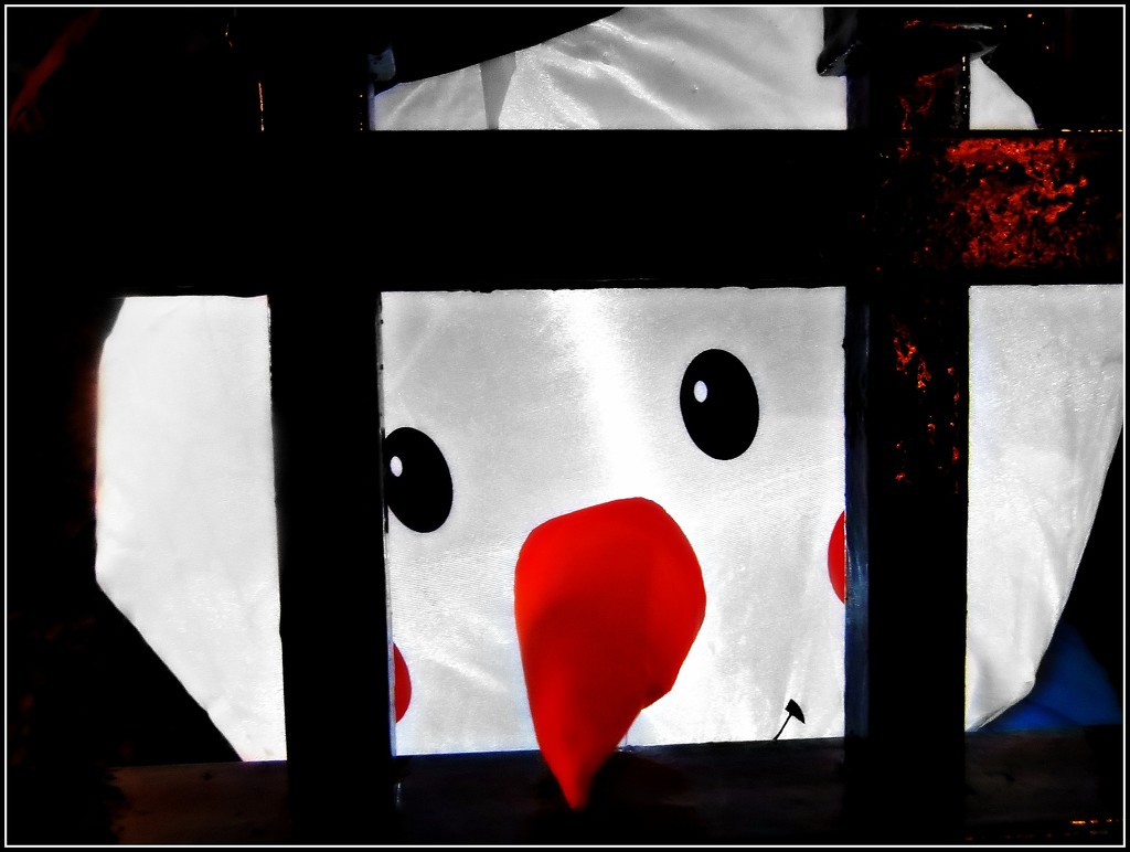 Frosty Behind Bars by olivetreeann