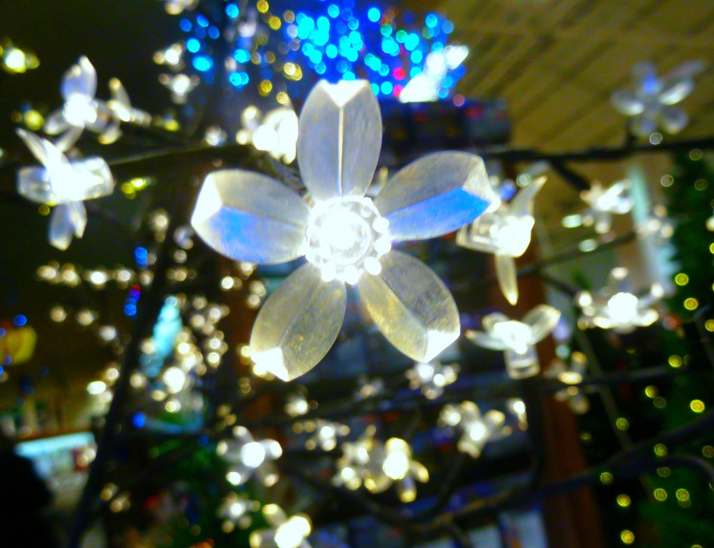 Flower Lights by wendyfrost