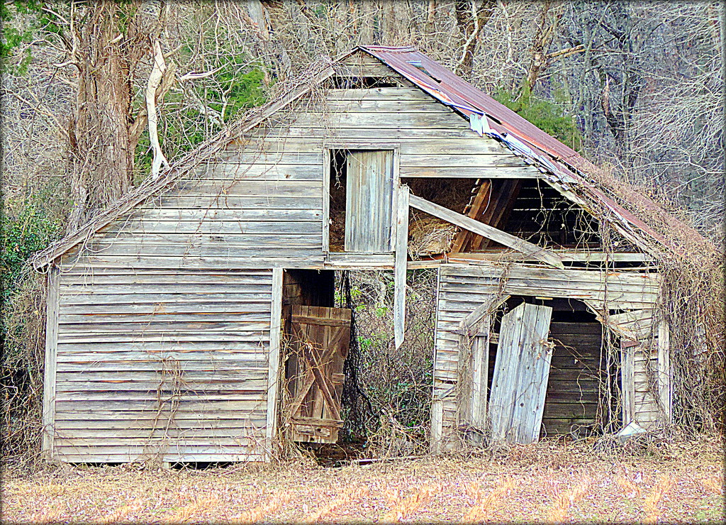 Old barn.....again! by homeschoolmom